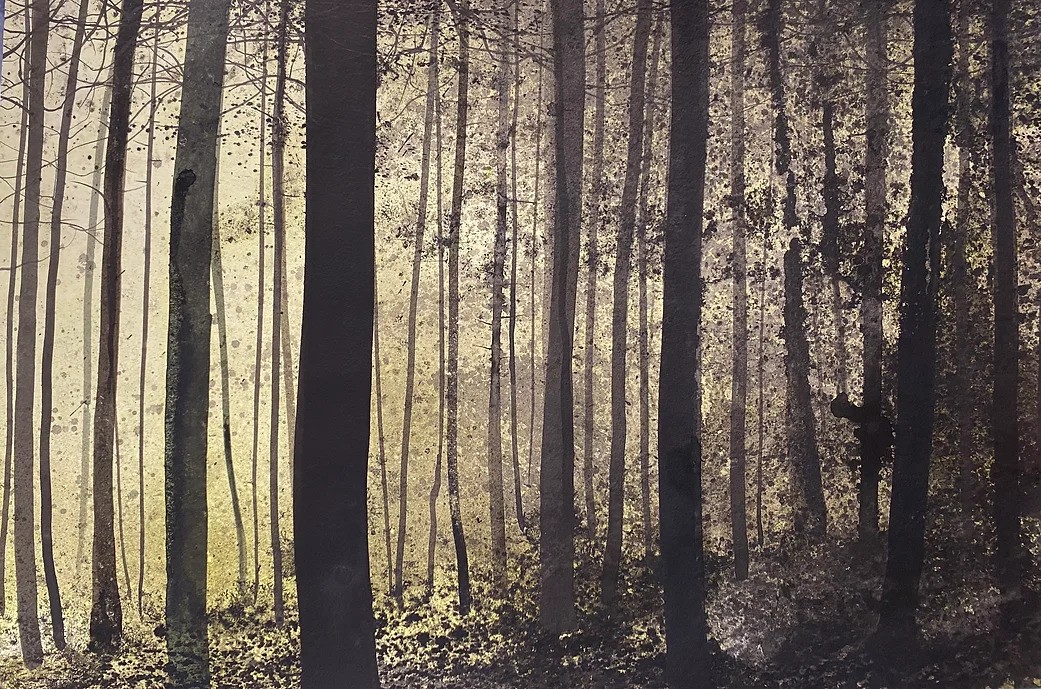Alvaro Petritoli, Forest fragment Alvaro Petritoli, Forest fragment