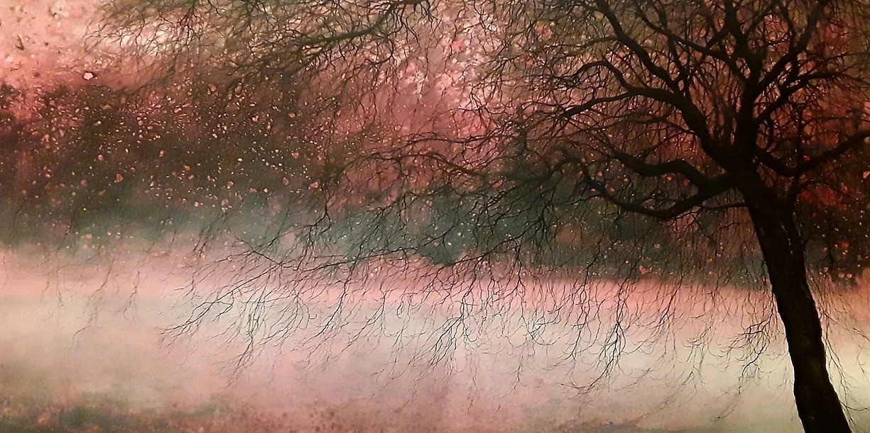Alvaro Petritoli, Willow shore Alazarin light Alvaro Petritoli, Willow shore Alazarin light