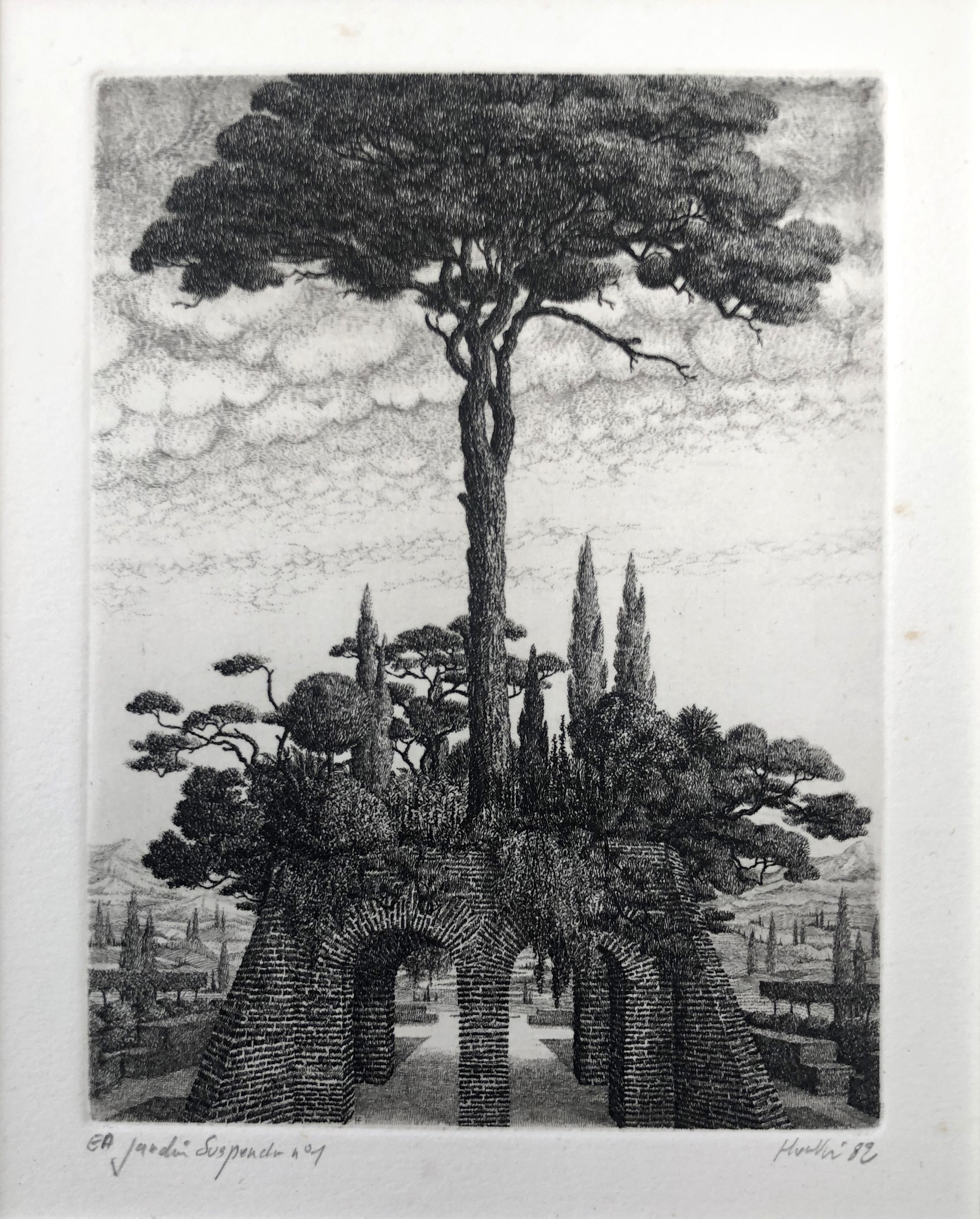 François Houtin, Jardin suspendu n°1 François Houtin, Jardin suspendu n°1