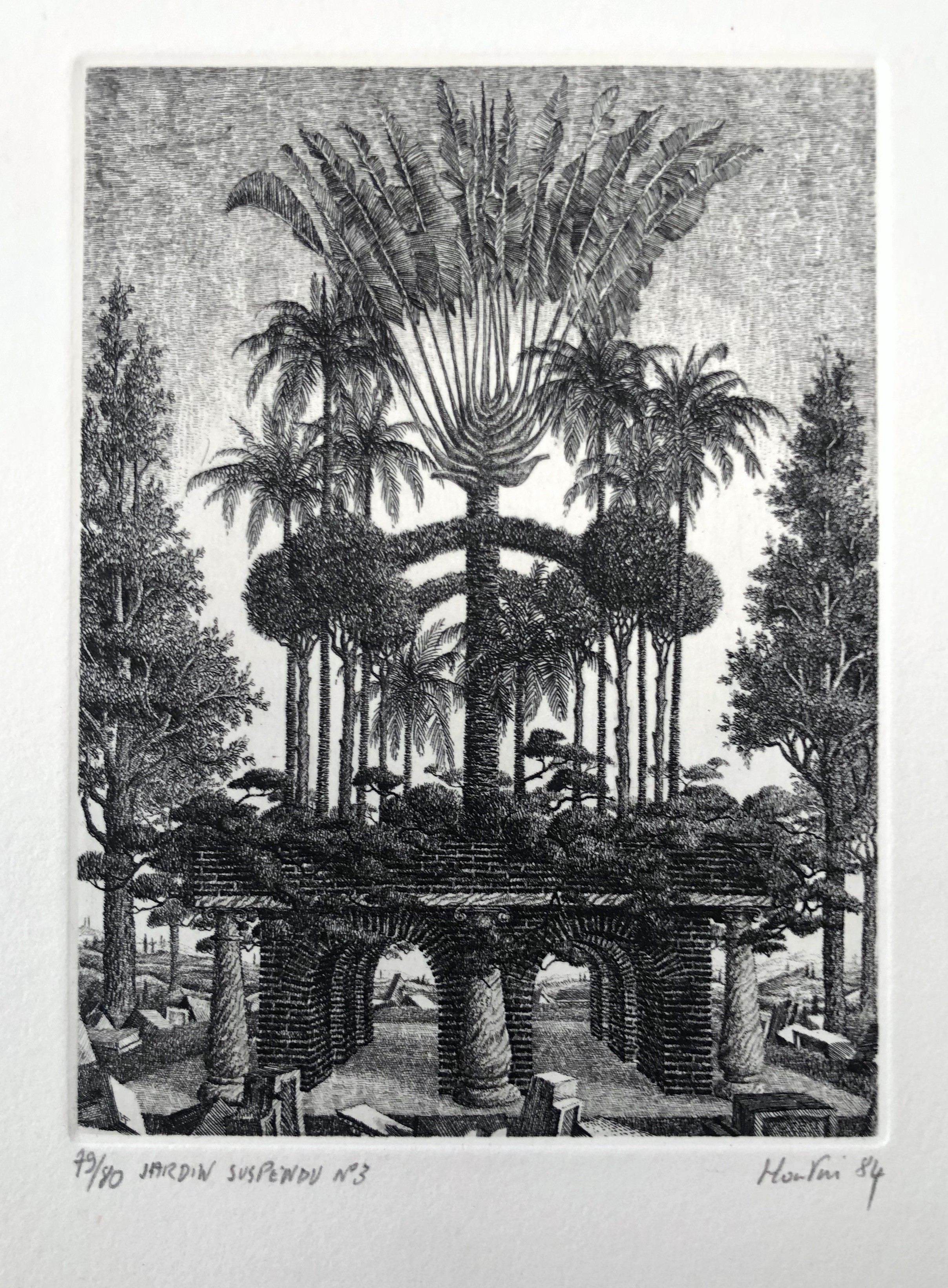François Houtin, Jardin suspendu n° 3 François Houtin, Jardin suspendu n° 3