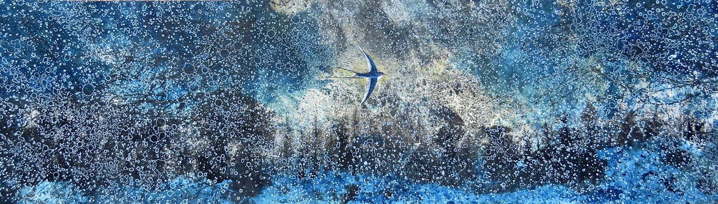 Alvaro Petritoli, Winter Swallow Alvaro Petritoli, Winter Swallow