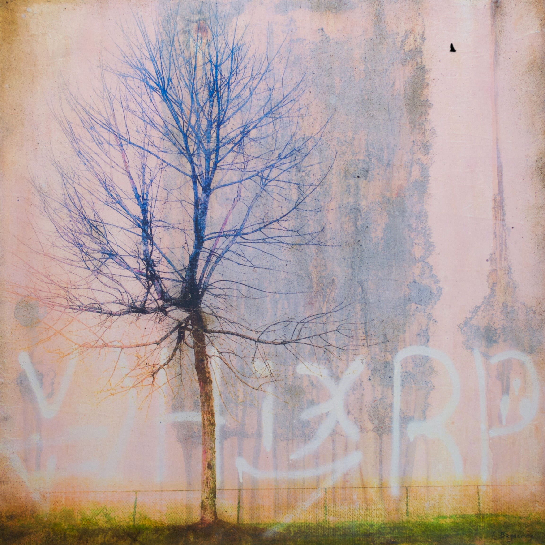 Lori Bagnérès, Rust Never Sleeps Lori Bagnérès, Rust Never Sleeps