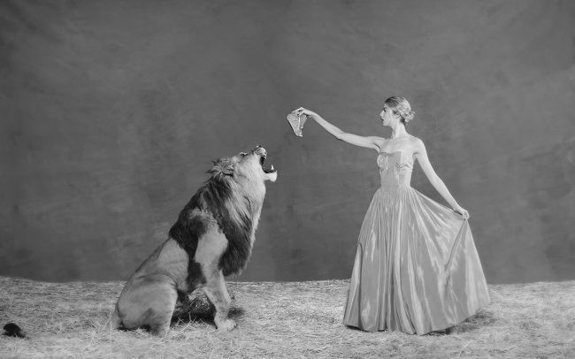 Tyler Shields, Lion Tamer (2) Tyler Shields, Lion Tamer (2)