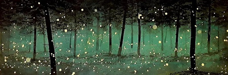 Alvaro Petritoli, Fireflies in and out of focus Alvaro Petritoli, Fireflies in and out of focus