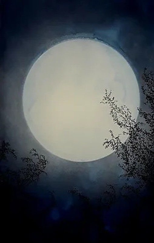 Alvaro Petritoli, Luna nuova Alvaro Petritoli, Luna nuova