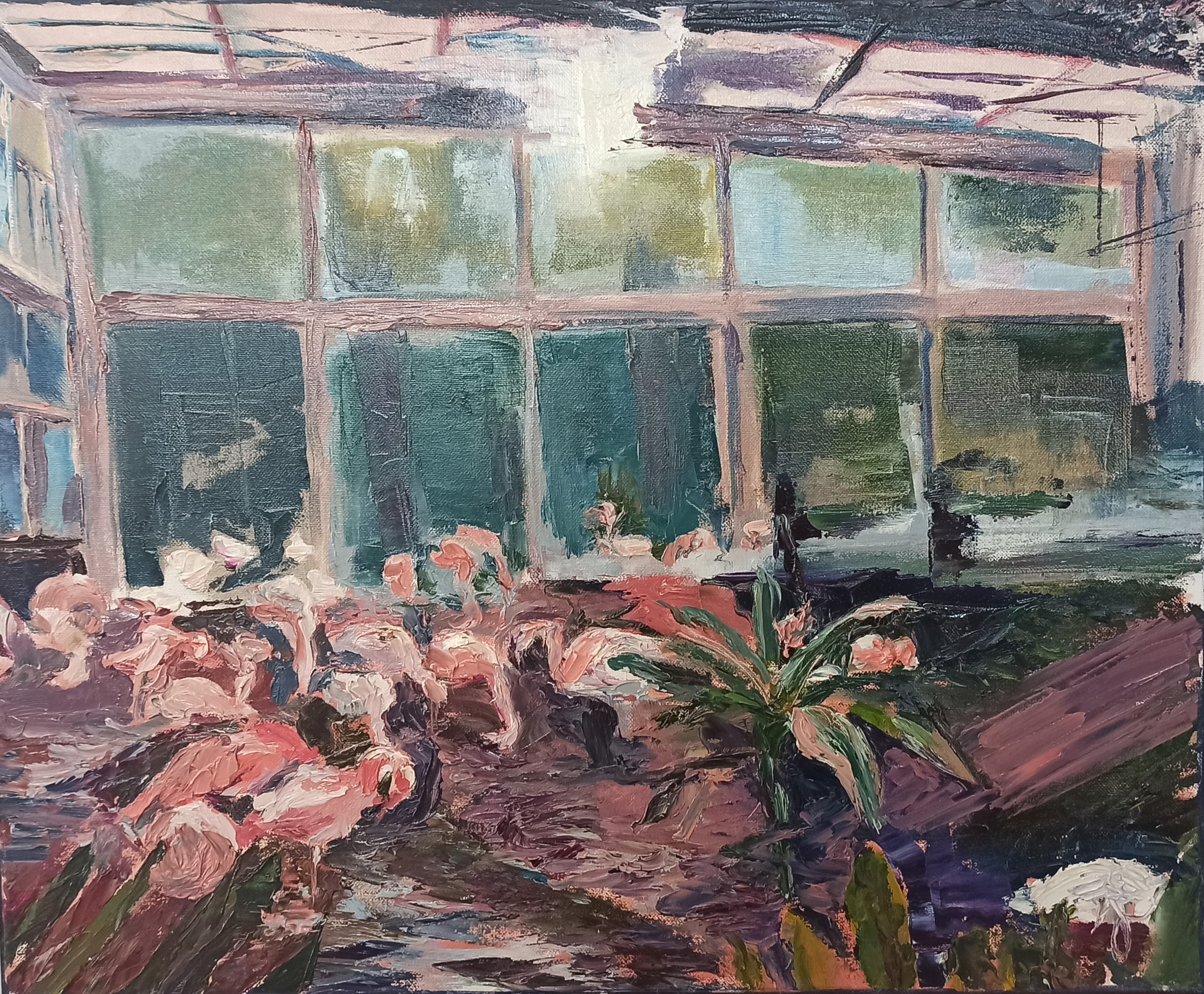 Svetlana Maksimenko, Flamingos Svetlana Maksimenko, Flamingos