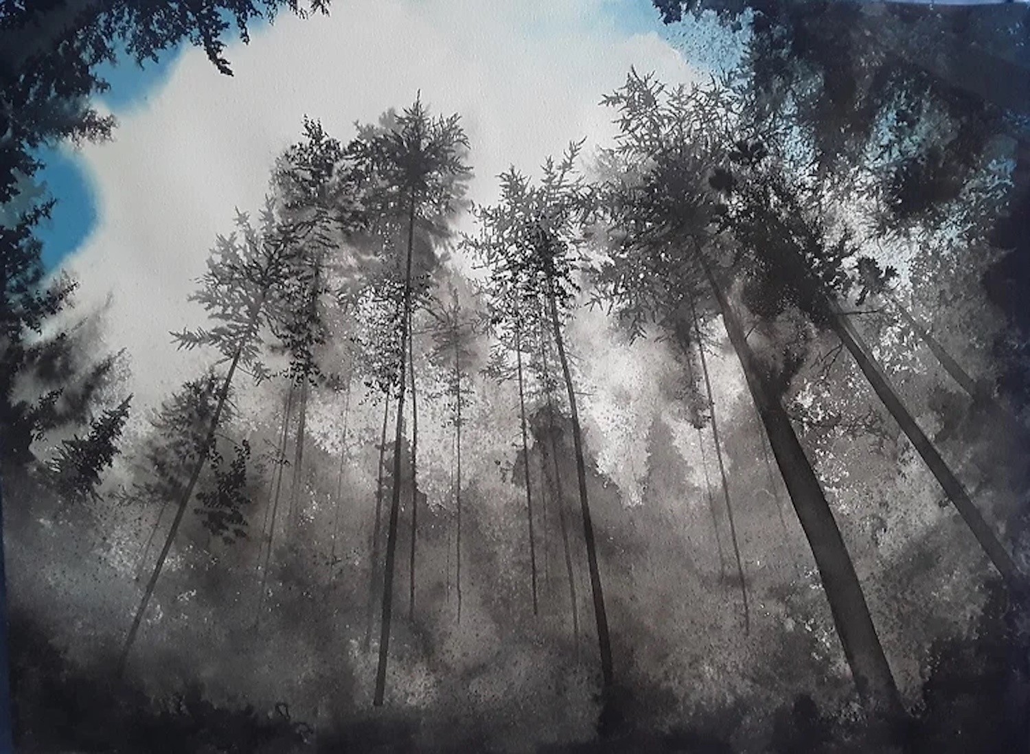 Alvaro Petritoli, Forest convergence cloud study Alvaro Petritoli, Forest convergence cloud study