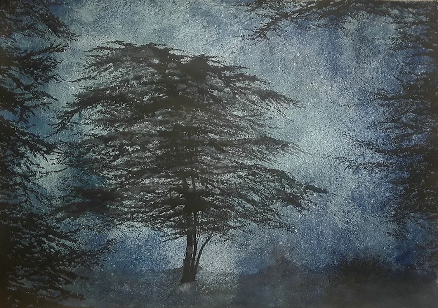 Alvaro Petritoli, Study of night cedar tree Alvaro Petritoli, Study of night cedar tree