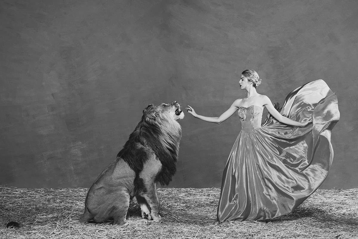 Tyler Shields, The Lion Queen (3) Tyler Shields, The Lion Queen (3)
