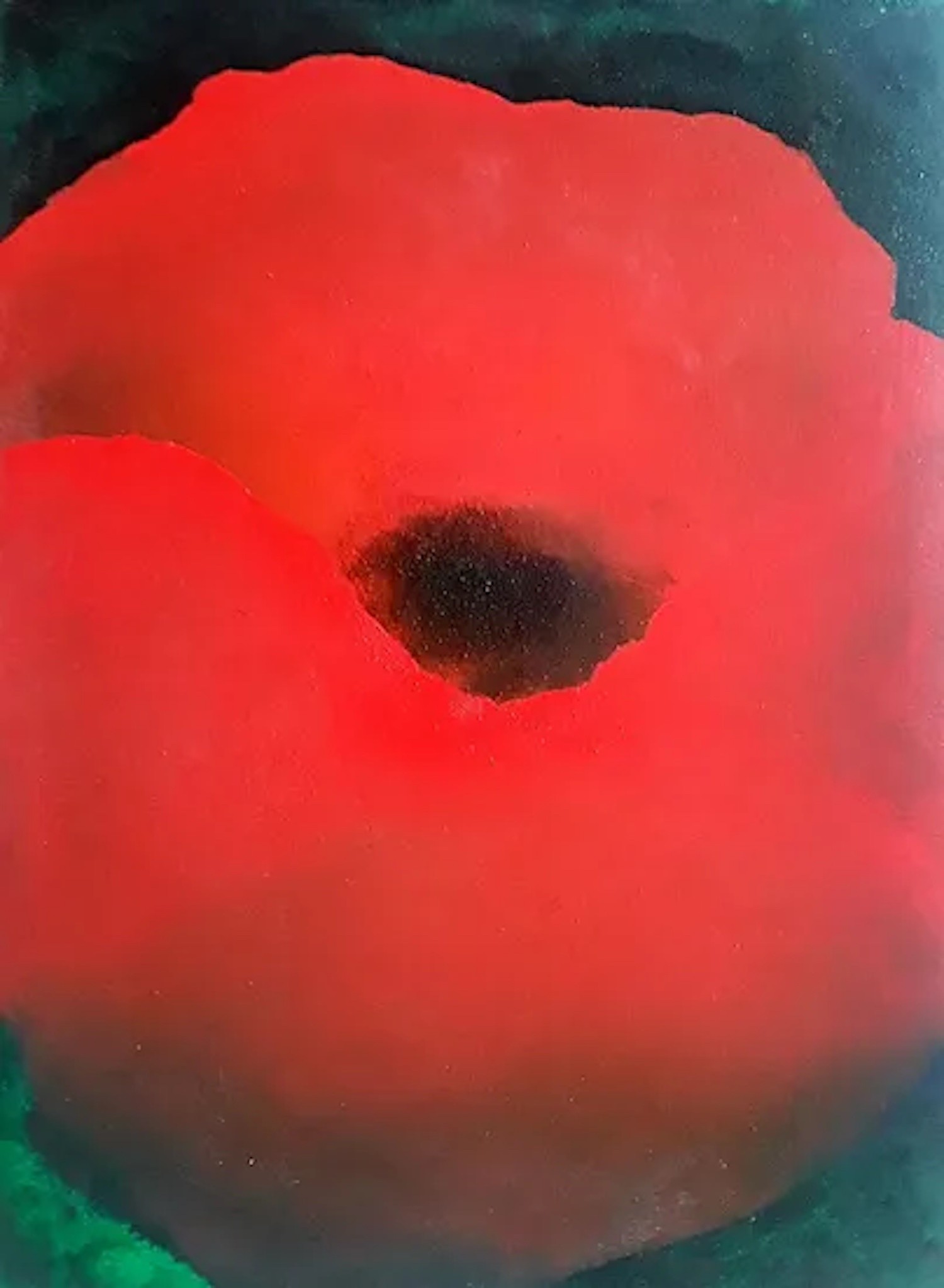 Alvaro Petritoli, Night Poppy II Alvaro Petritoli, Night Poppy II