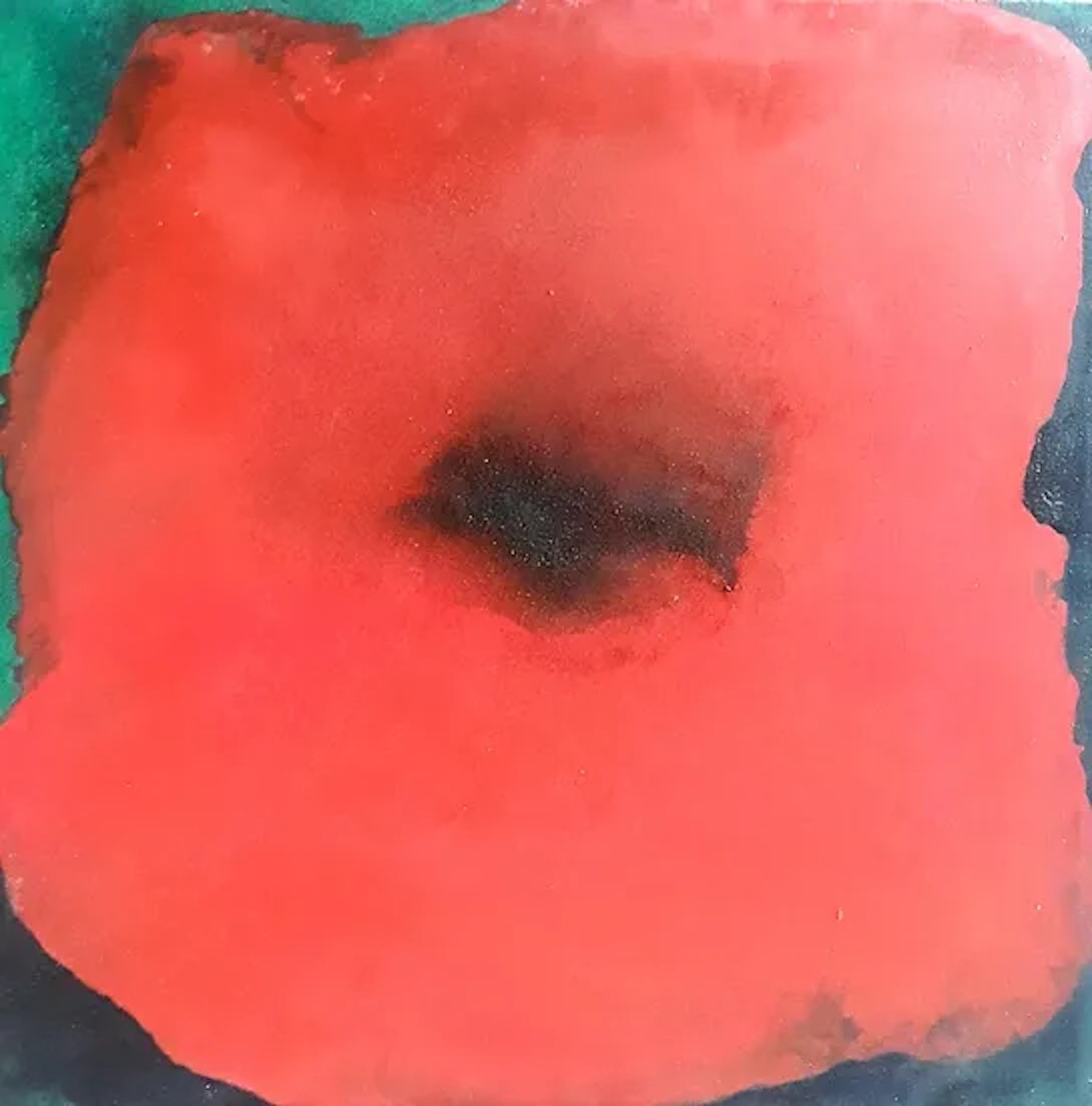 Alvaro Petritoli, Night Poppy Alvaro Petritoli, Night Poppy