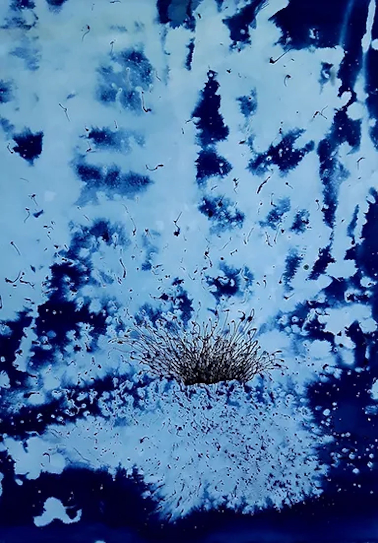 Alvaro Petritoli, Blue threshold Alvaro Petritoli, Blue threshold
