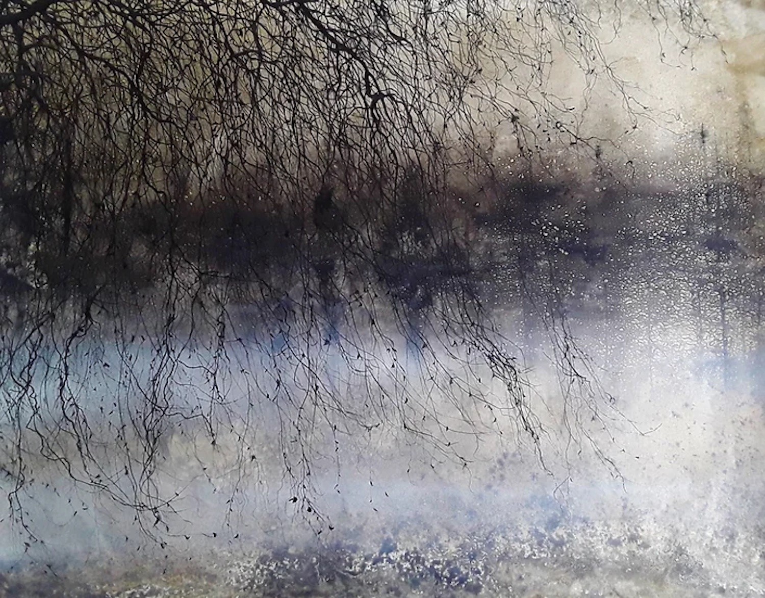 Alvaro Petritoli, Winter filigree reflection Alvaro Petritoli, Winter filigree reflection