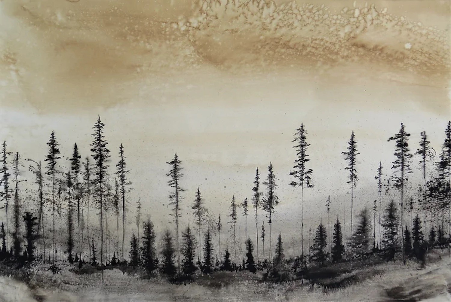 Alvaro Petritoli, Amber sky forest Alvaro Petritoli, Amber sky forest