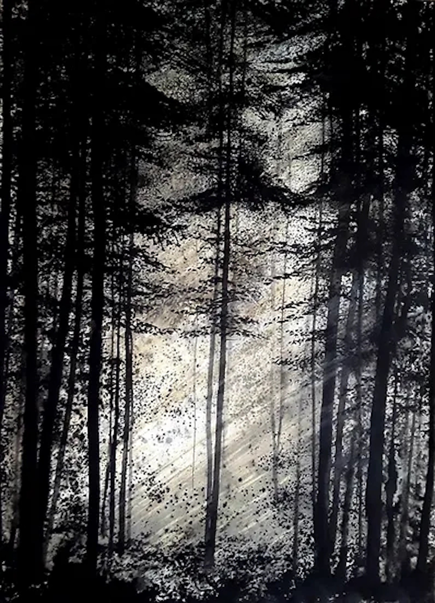 Alvaro Petritoli, Filtered amber light Alvaro Petritoli, Filtered amber light