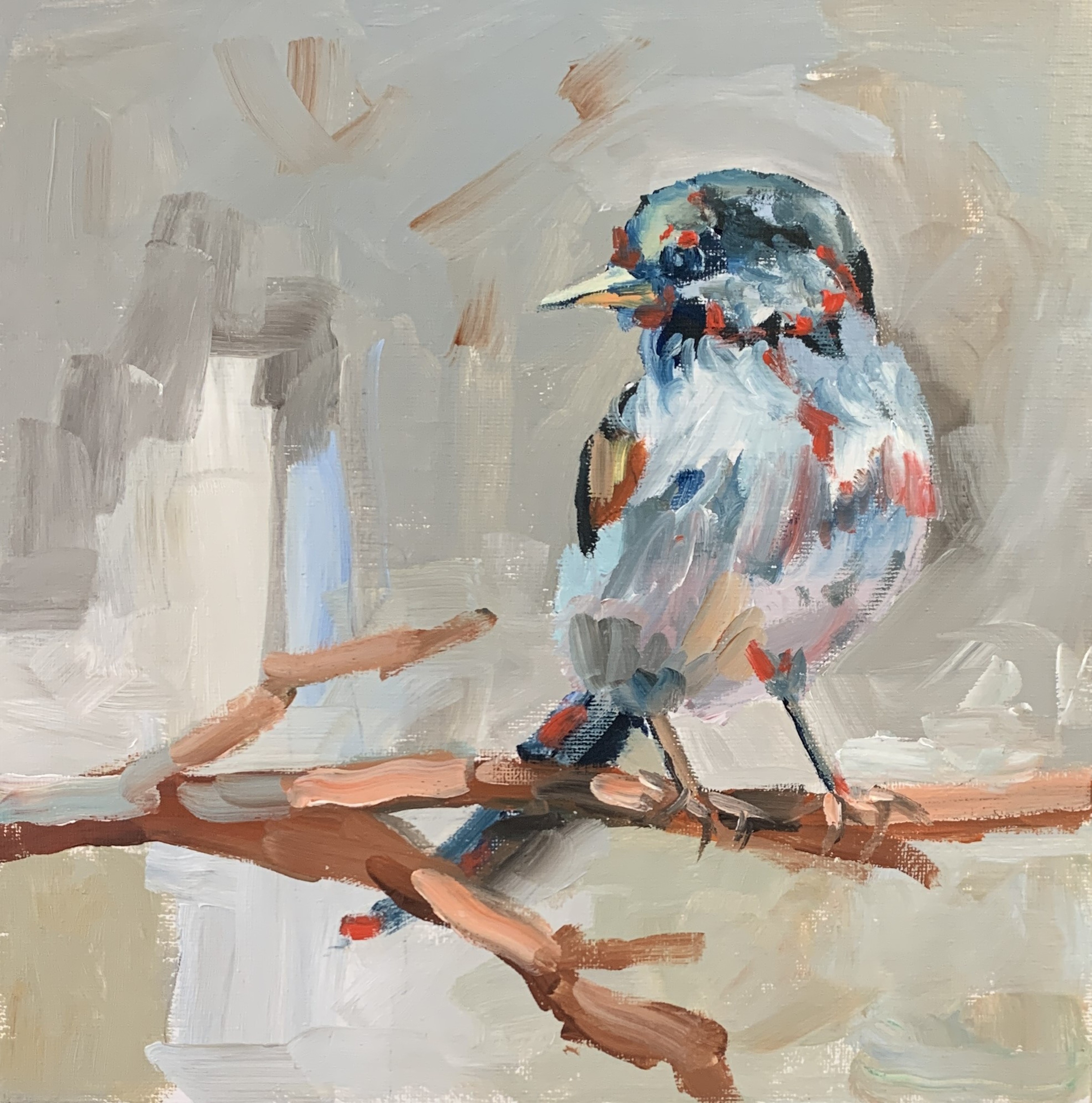 Schagen Vita, Bird 4 Schagen Vita, Bird 4