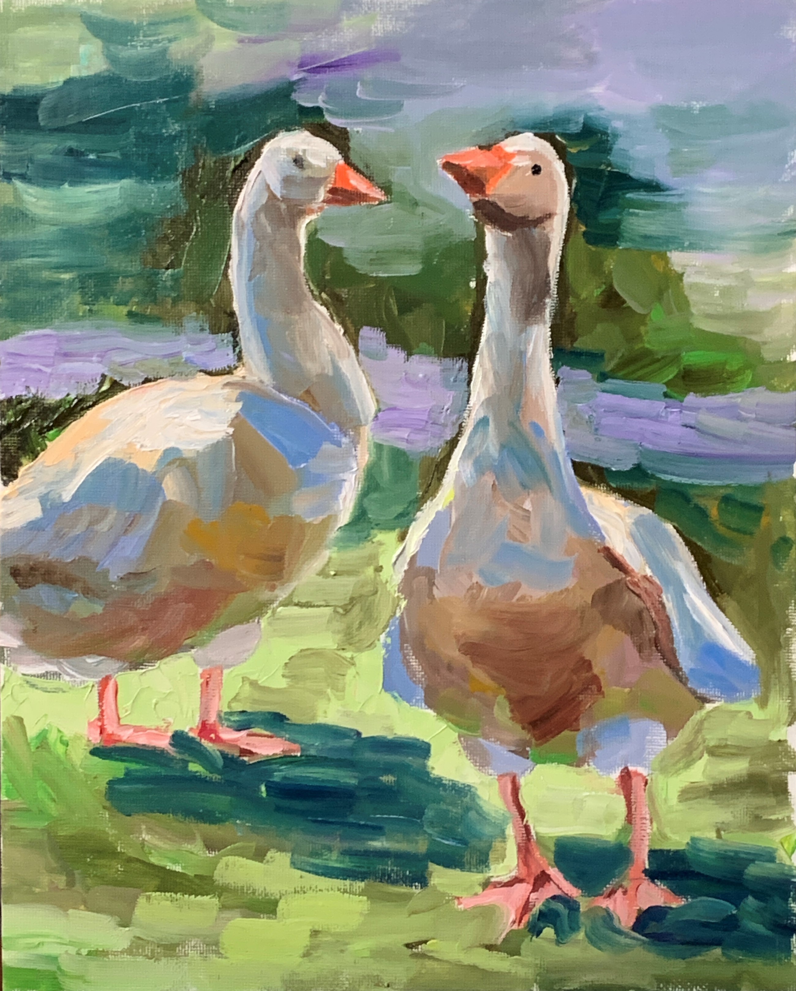 Schagen Vita, Geese Schagen Vita, Geese