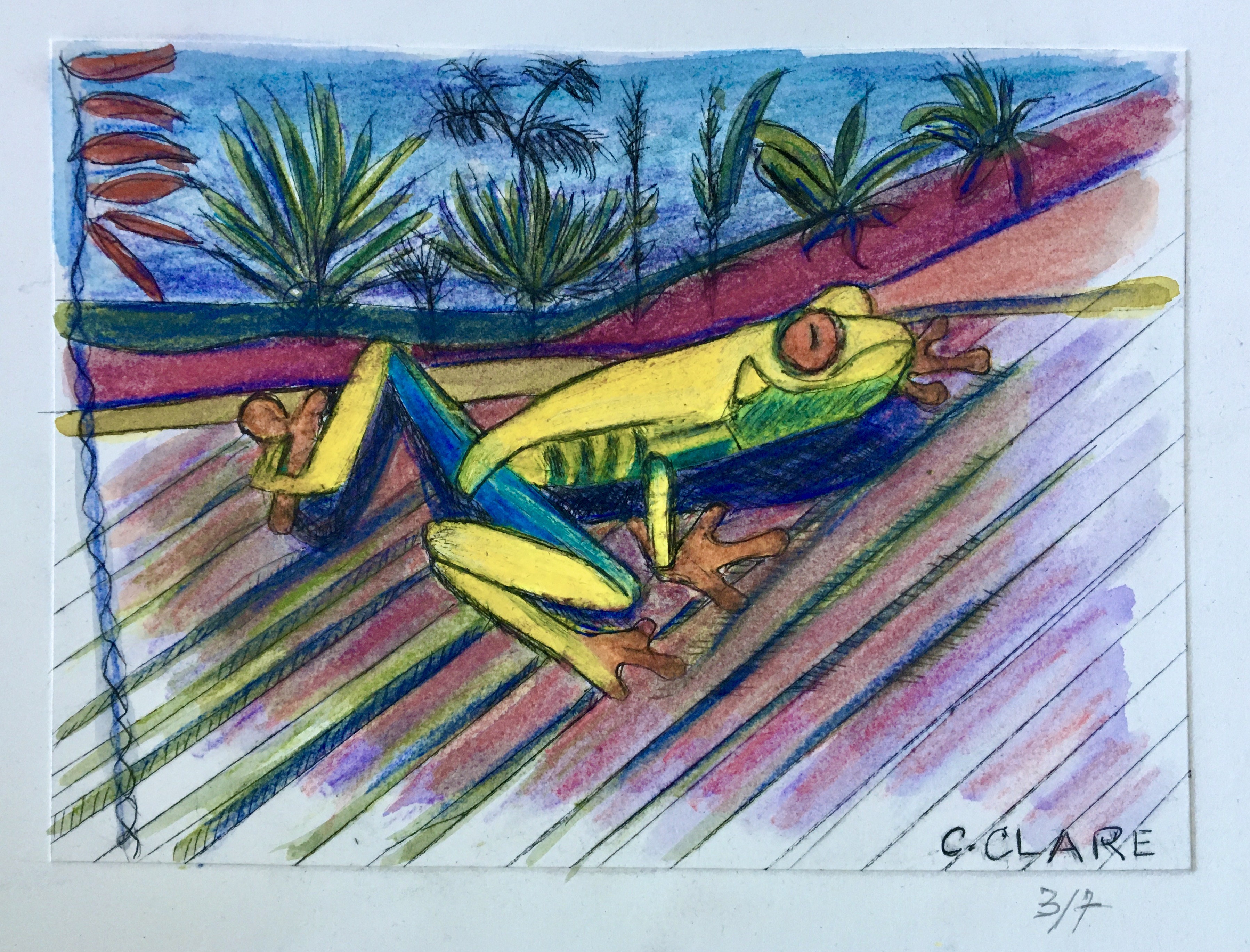 Catherine Clare, Red-eyed frog N°3 Catherine Clare, Red-eyed frog N°3
