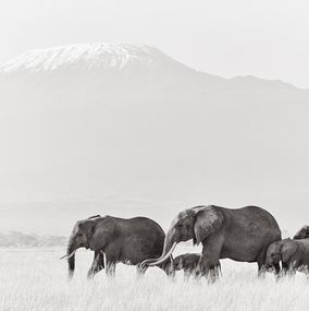 Photographie, Tano, Drew Doggett