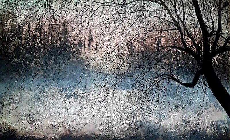 Alvaro Petritoli, Willow winter dawn Alvaro Petritoli, Willow winter dawn