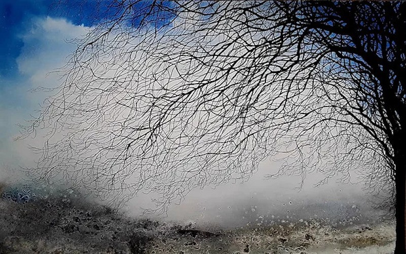 Alvaro Petritoli, Twigs in a clear winter sky Alvaro Petritoli, Twigs in a clear winter sky