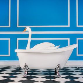 Photographie, The Swan, Tyler Shields