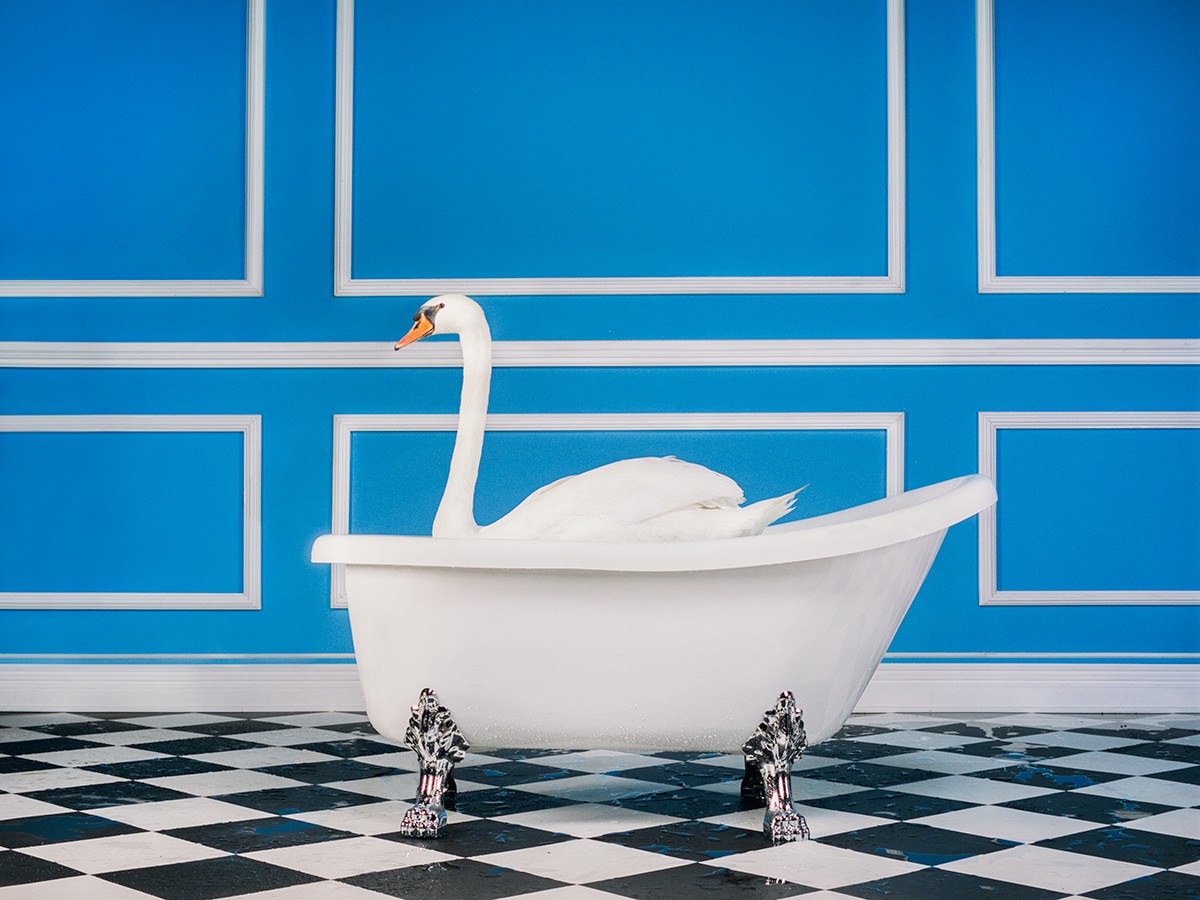 Tyler Shields, The Swan (2) Tyler Shields, The Swan (2)
