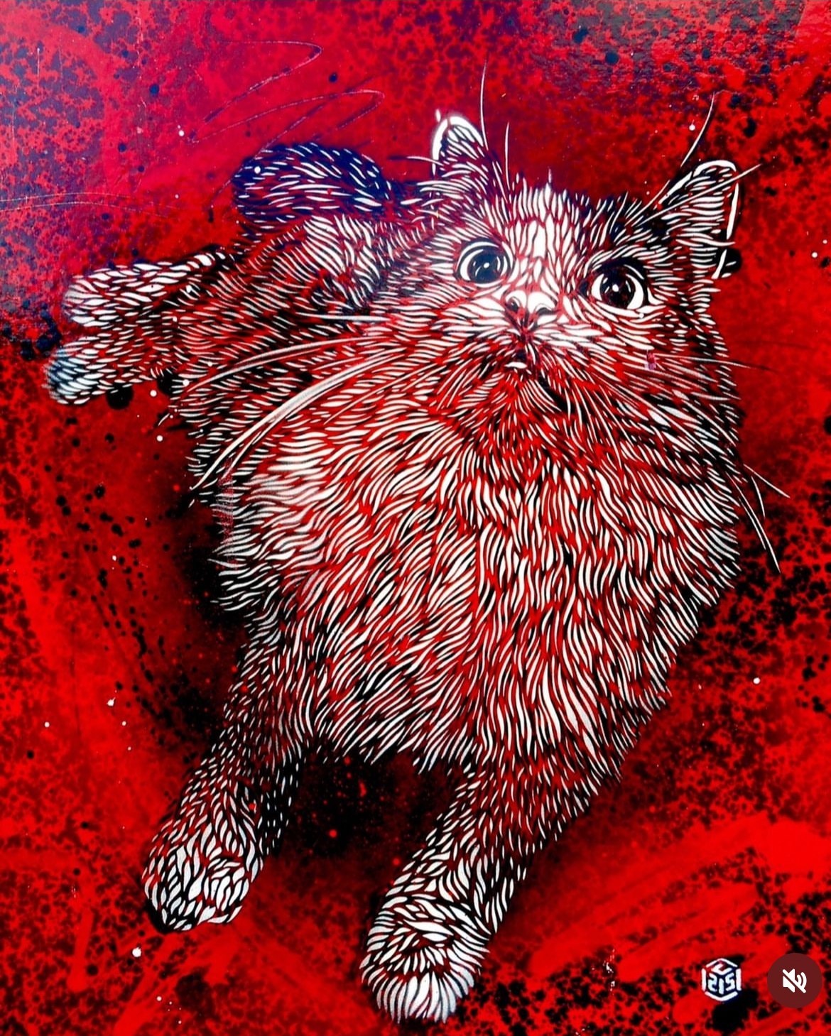 C215, Red Red Wine C215, Red Red Wine