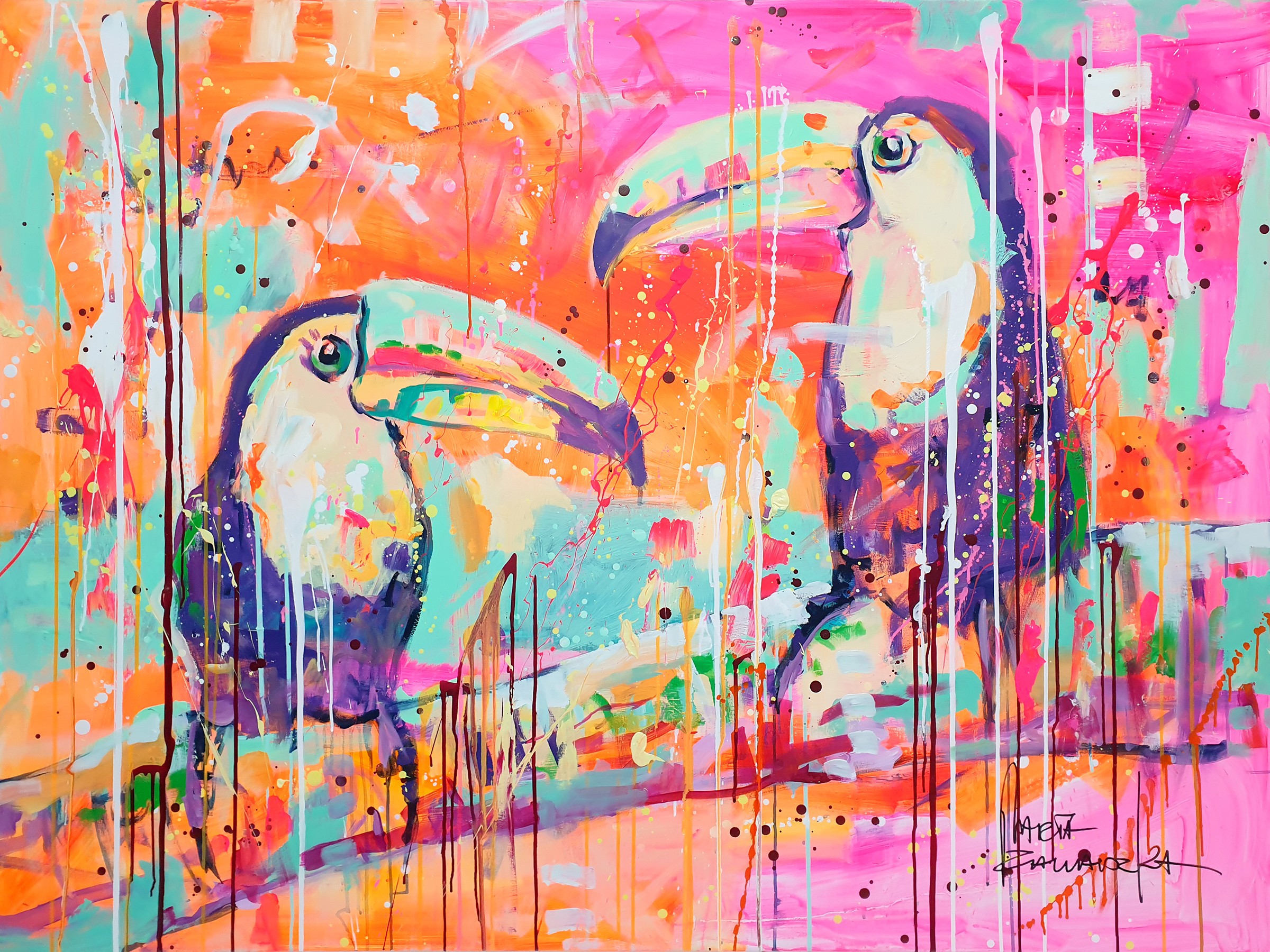 Marta Zawadzka, Toucans Marta Zawadzka, Toucans