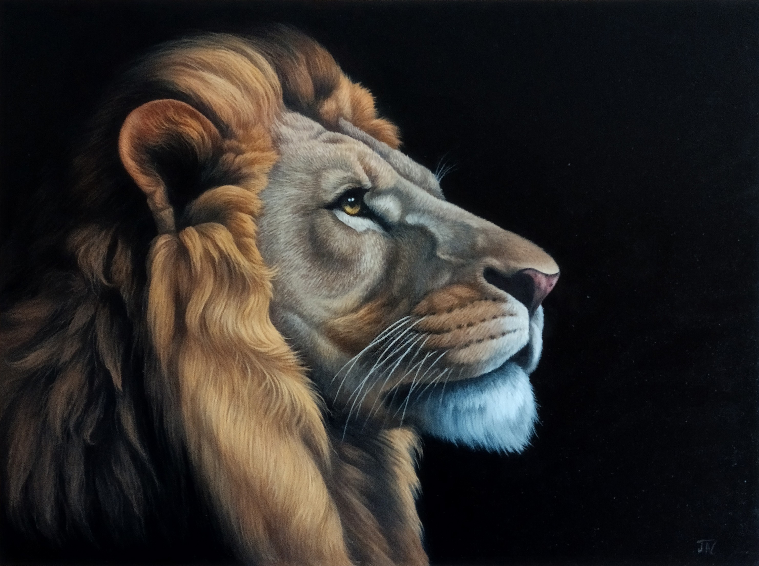Tamar Nazaryan, The Noble Gaze Tamar Nazaryan, The Noble Gaze