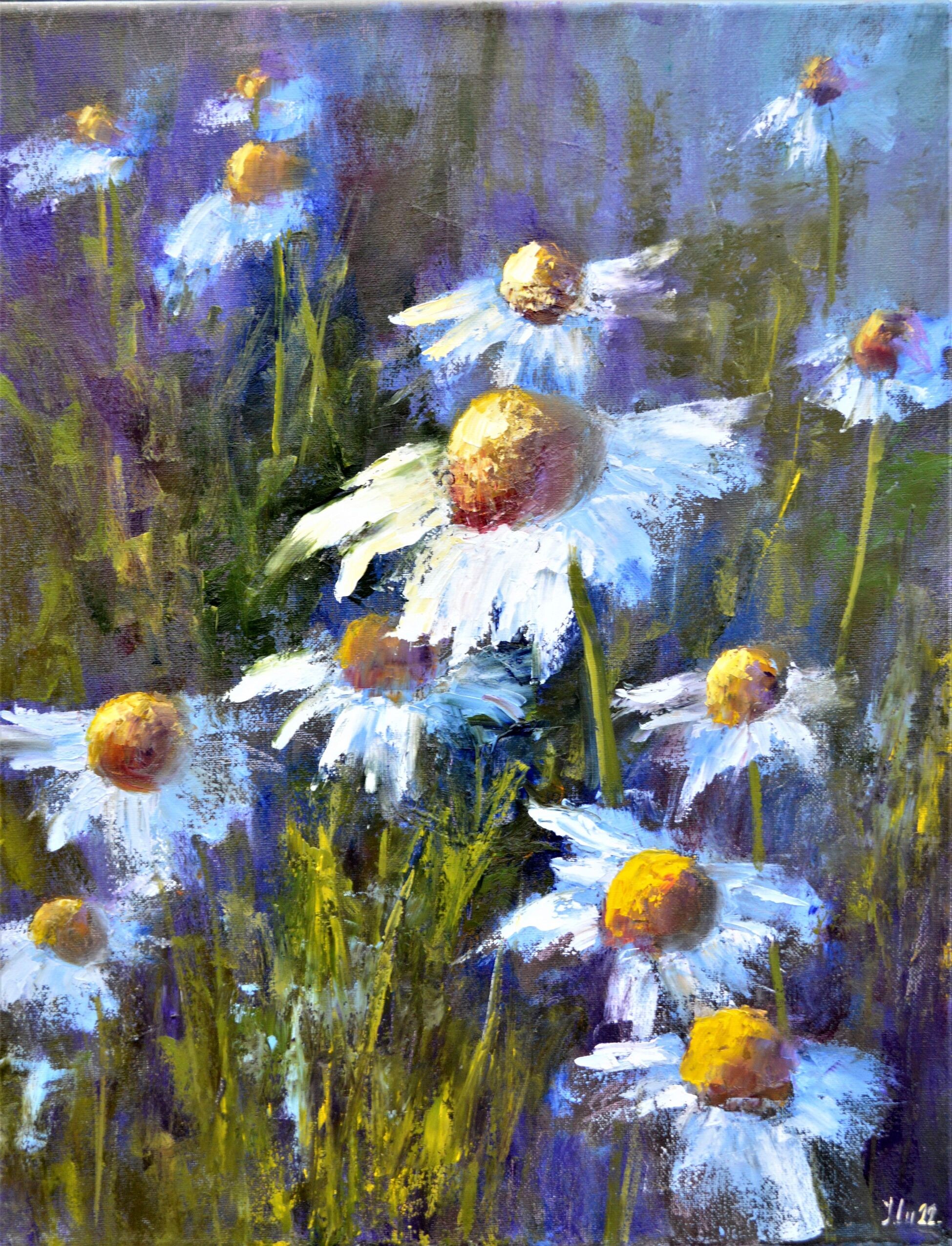 Elena Lukina, Lovely garden daisies Elena Lukina, Lovely garden daisies