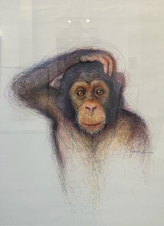 Tony Jagas, Monkey Tony Jagas, Monkey