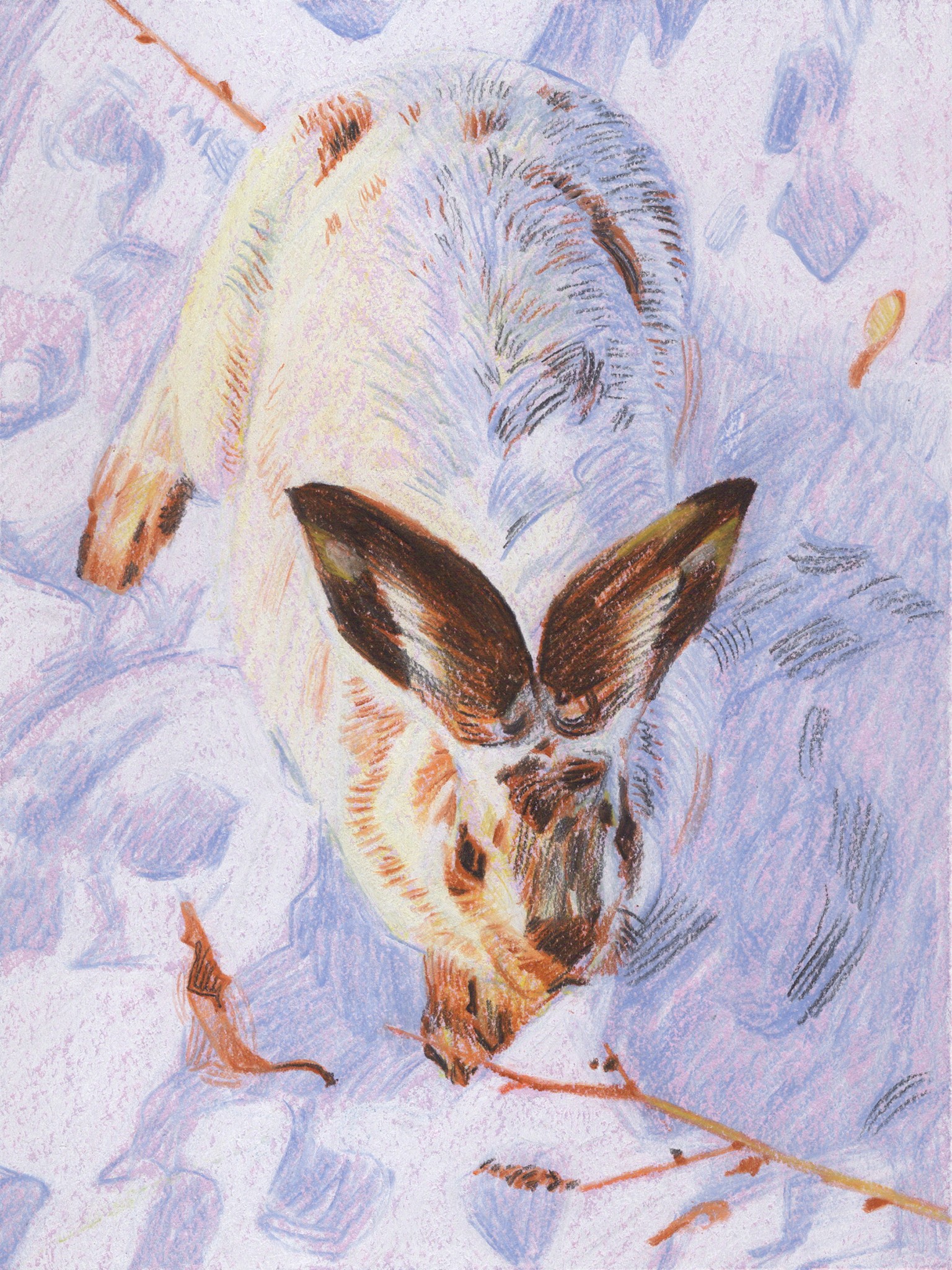 Christian Frederiksen, Wintery Hare Christian Frederiksen, Wintery Hare