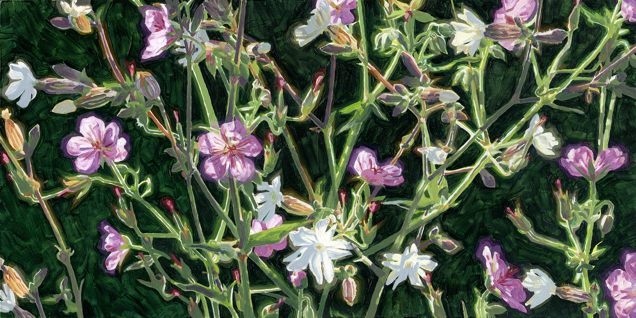 Christian Frederiksen, Entangled Wildflowers Christian Frederiksen, Entangled Wildflowers