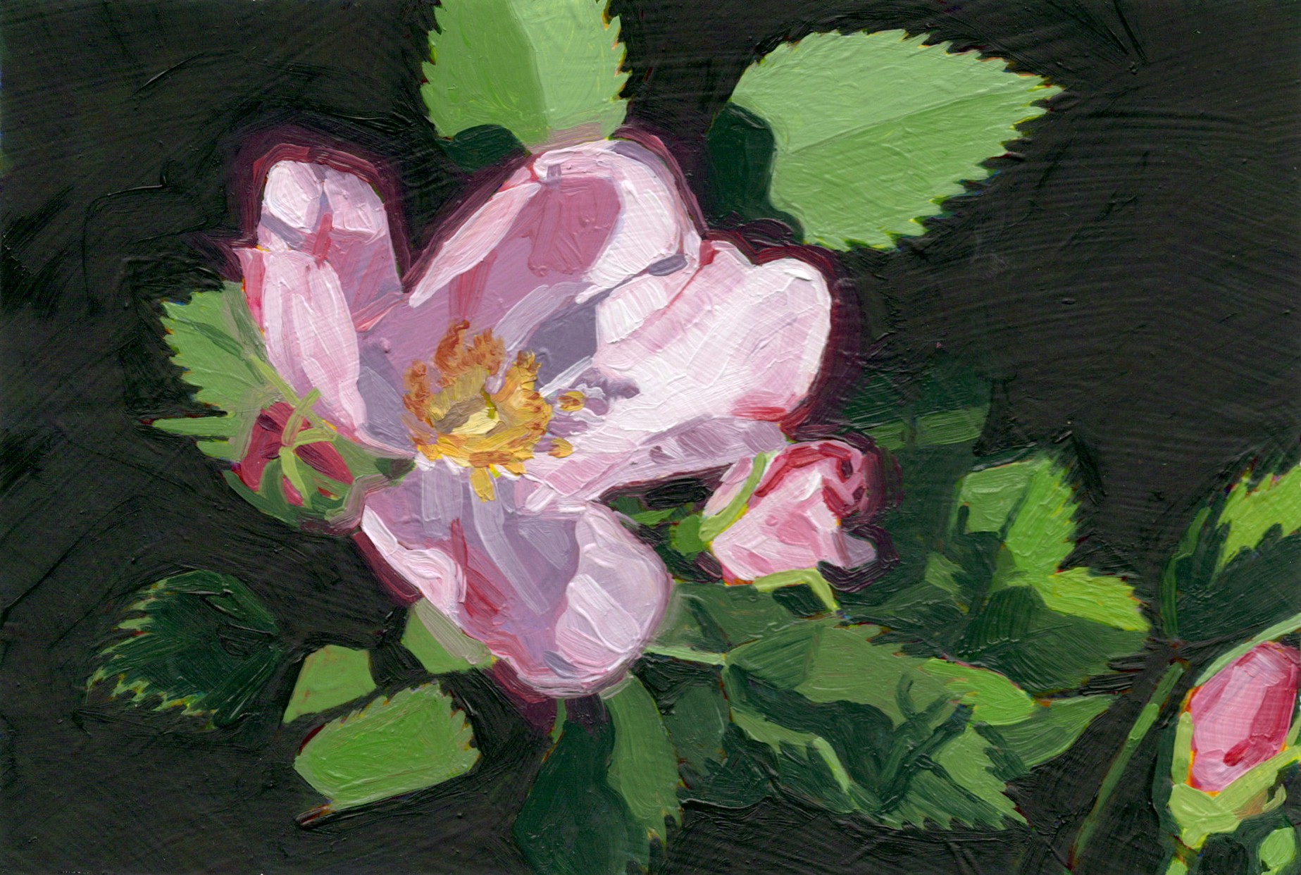Christian Frederiksen, Wild Rose Christian Frederiksen, Wild Rose