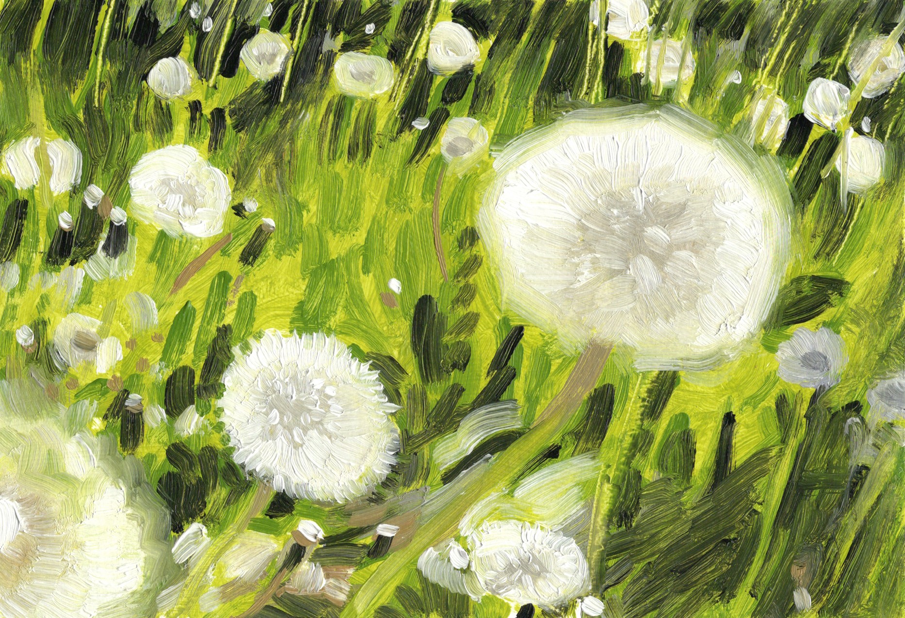 Christian Frederiksen, Dandelion World Christian Frederiksen, Dandelion World
