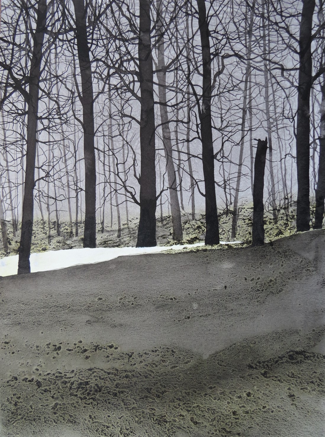 Alvaro Petritoli, Winter woods path Alvaro Petritoli, Winter woods path