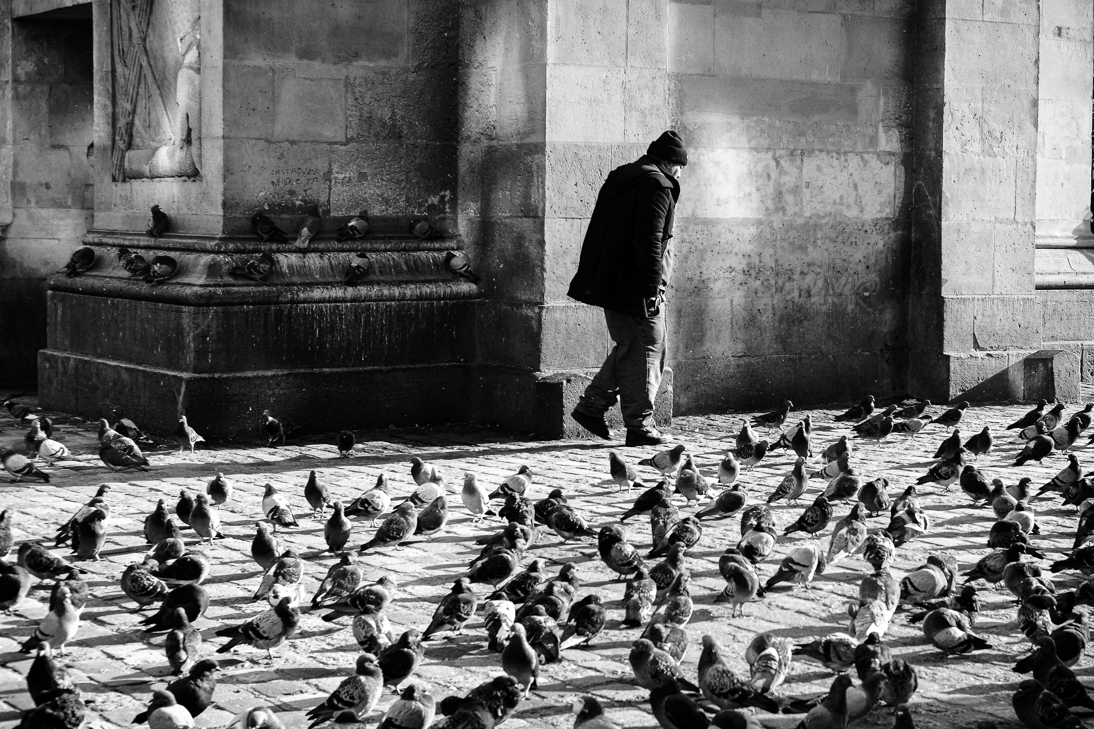 Mourad Cherifi, The pigeon man Mourad Cherifi, The pigeon man