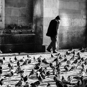 Photographie, The pigeon man, Mourad Cherifi