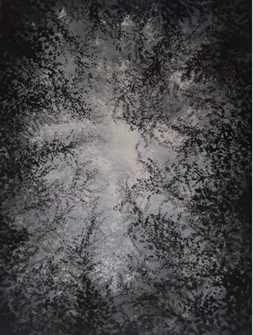 Alvaro Petritoli, Woods oculus mist Alvaro Petritoli, Woods oculus mist