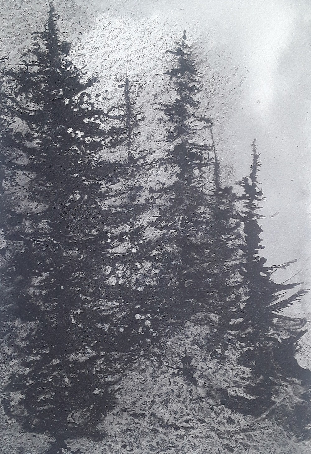 Alvaro Petritoli, Grey frame - Tree tops Alvaro Petritoli, Grey frame - Tree tops