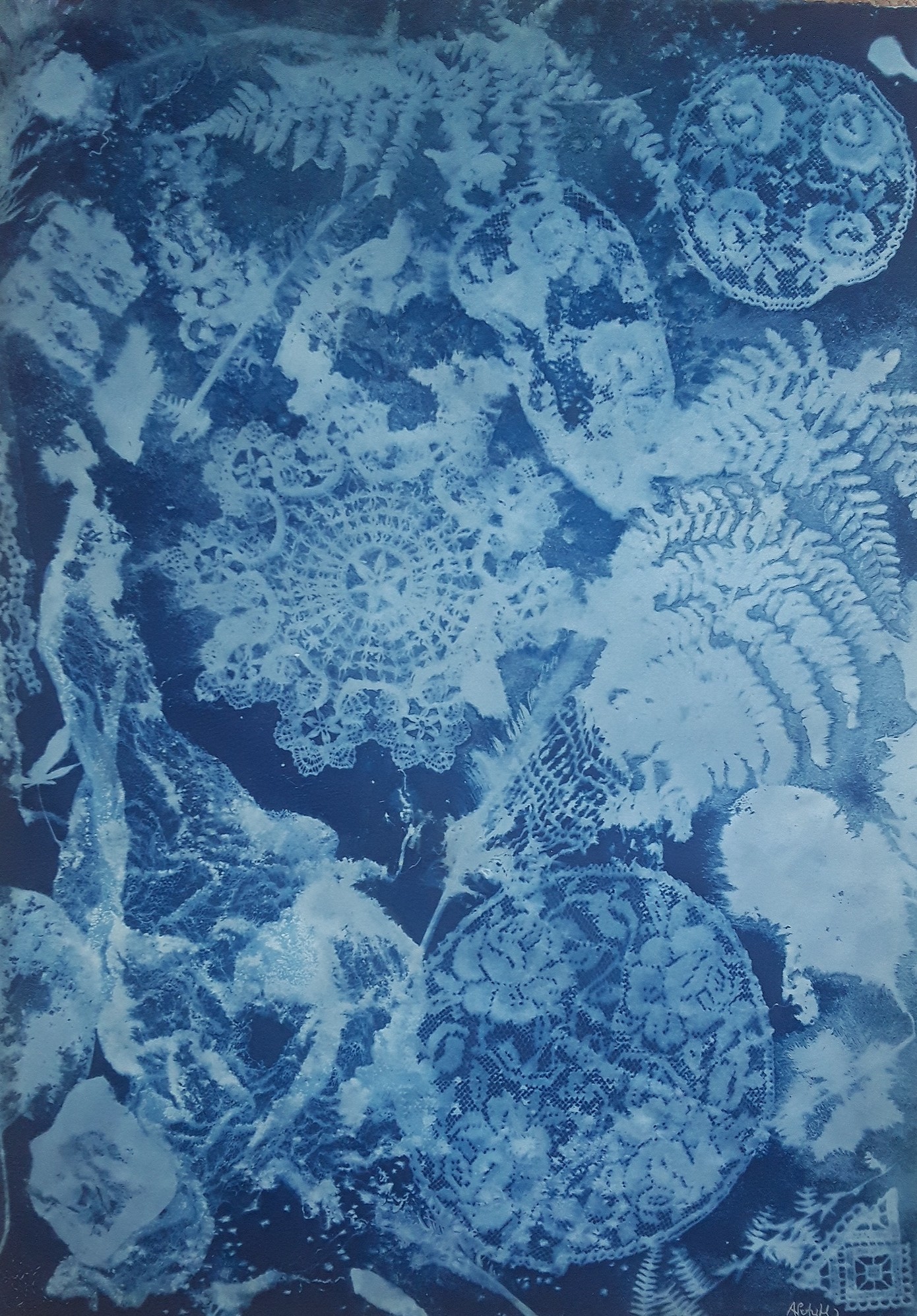 Alvaro Petritoli, Underwater Victorian Reverie Alvaro Petritoli, Underwater Victorian Reverie