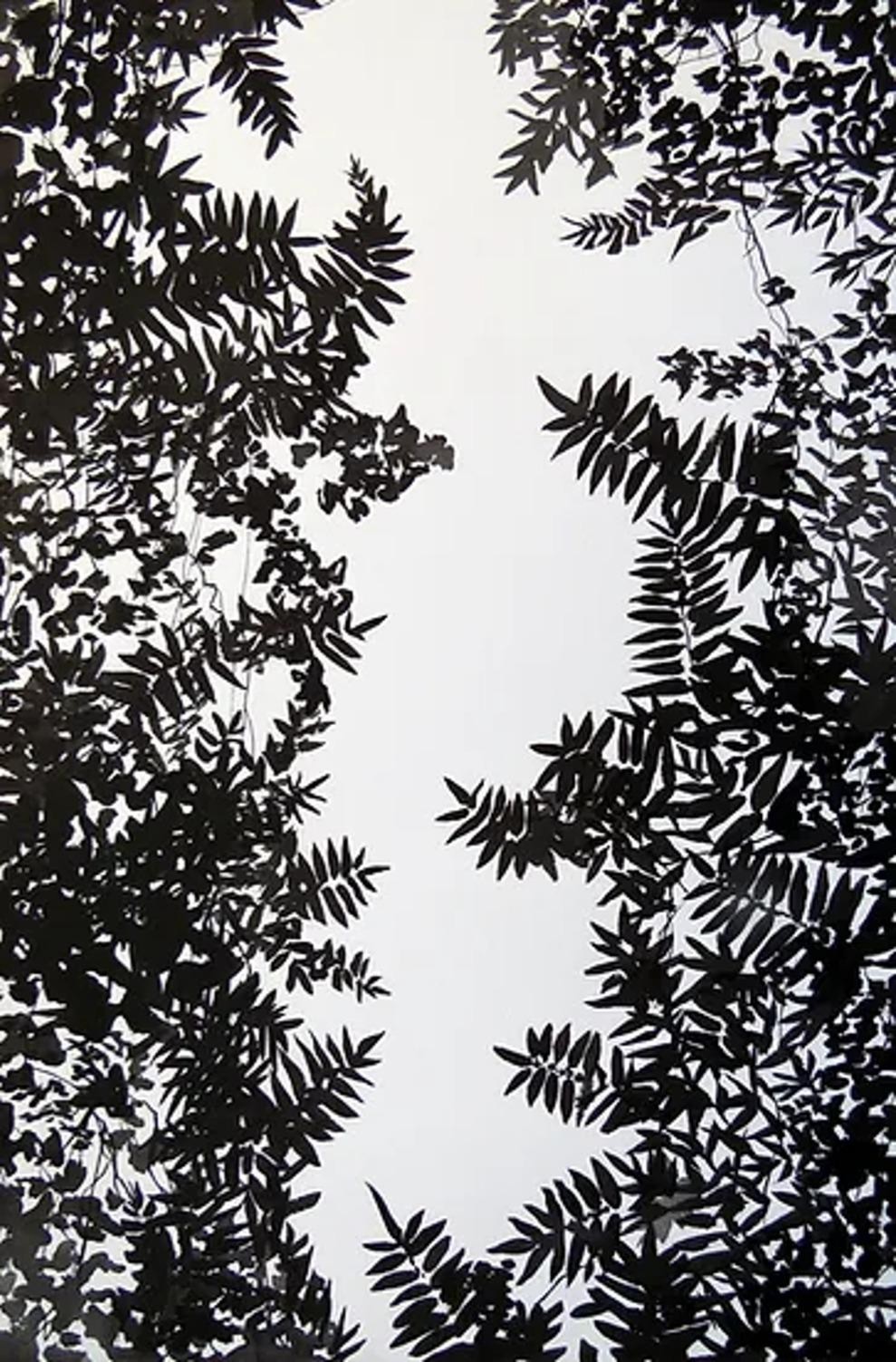 Alvaro Petritoli, Canopy path Alvaro Petritoli, Canopy path