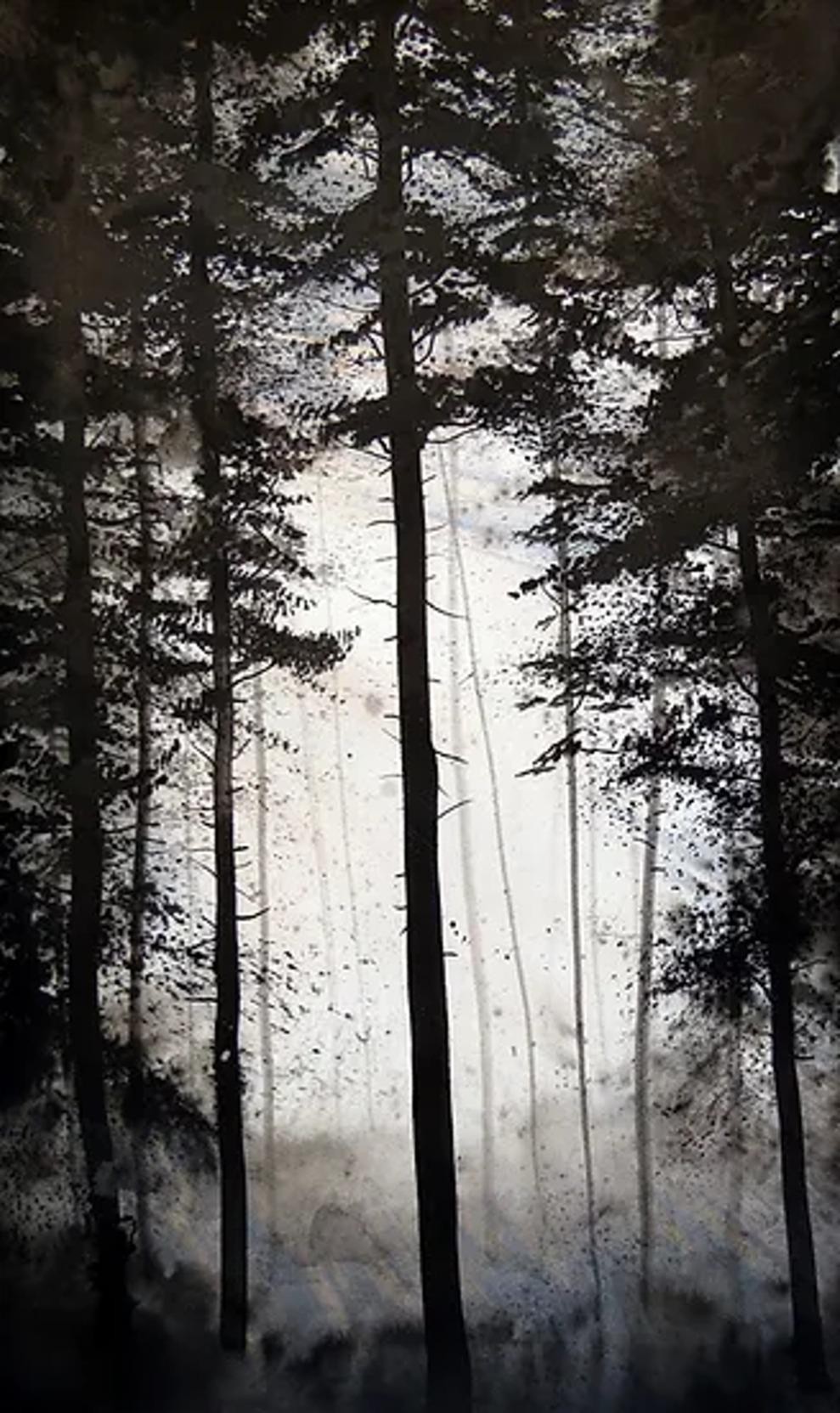 Alvaro Petritoli, Forest path 1 Alvaro Petritoli, Forest path 1