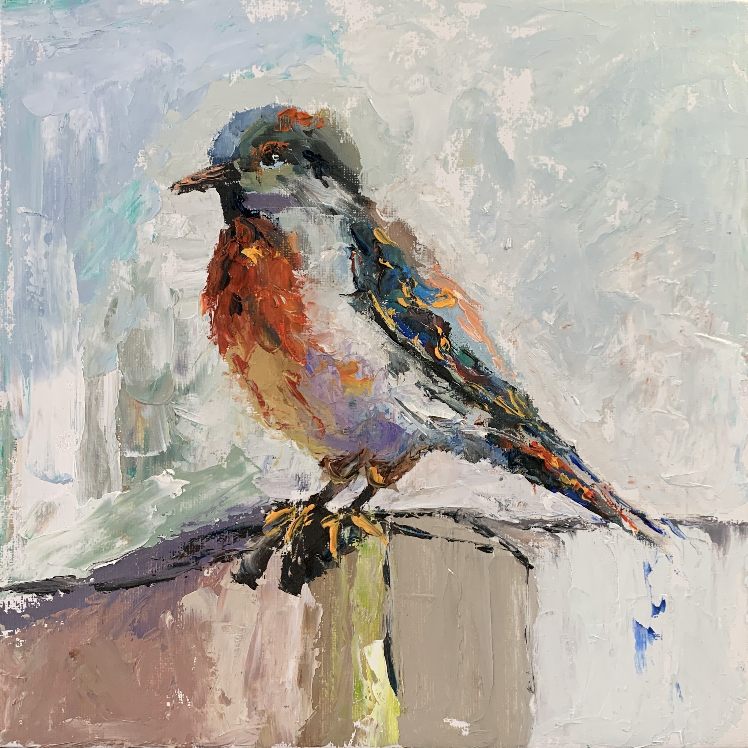 Schagen Vita, Bird 5 Schagen Vita, Bird 5