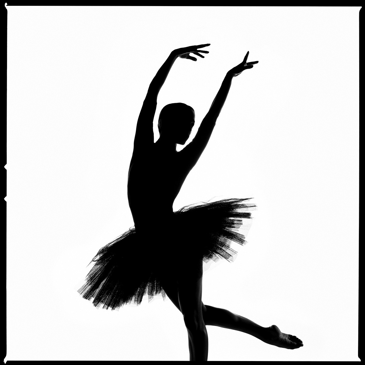 Tyler Shields, 8th Position Silhouette Tyler Shields, 8th Position Silhouette