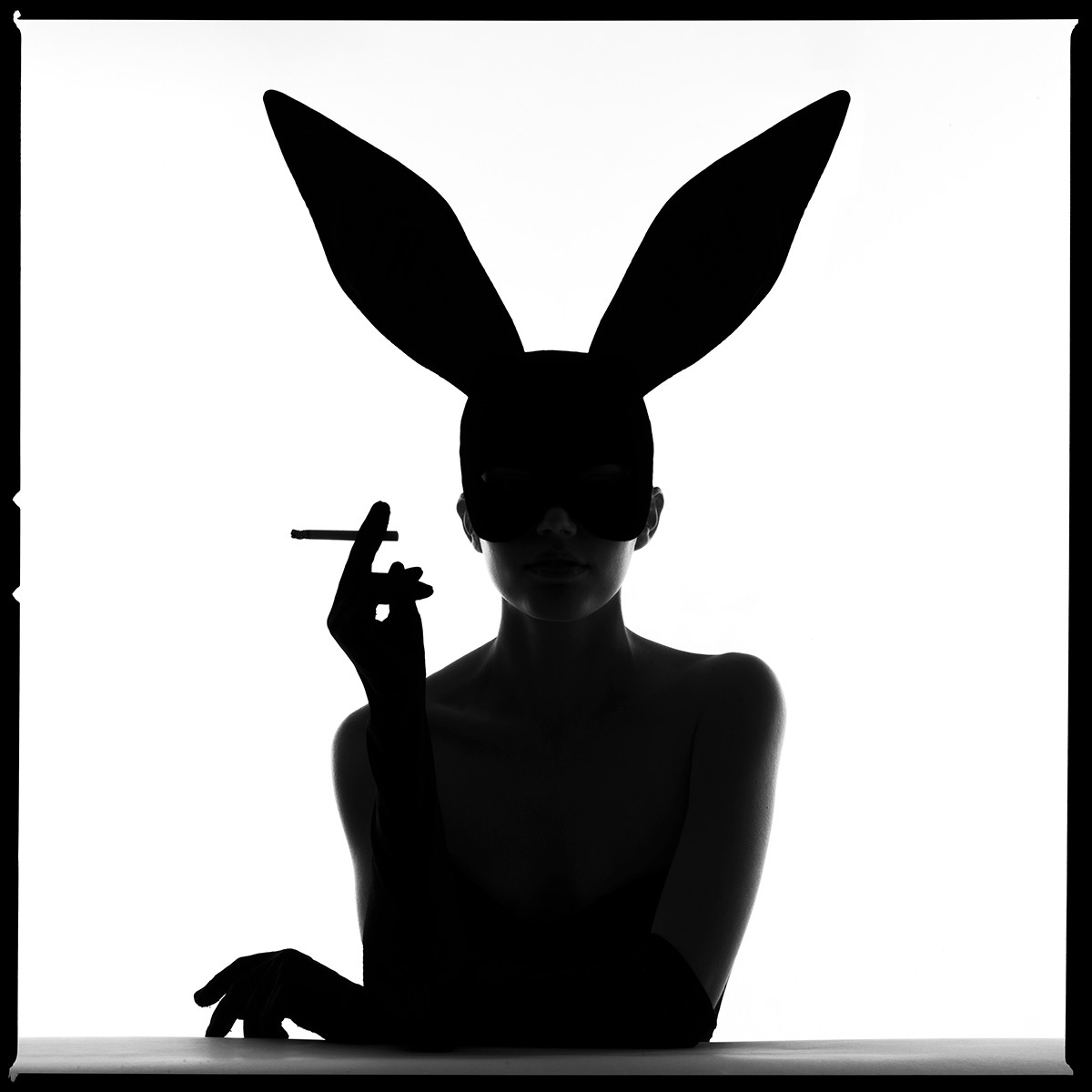 Tyler Shields, Bunny Silhouette III Tyler Shields, Bunny Silhouette III