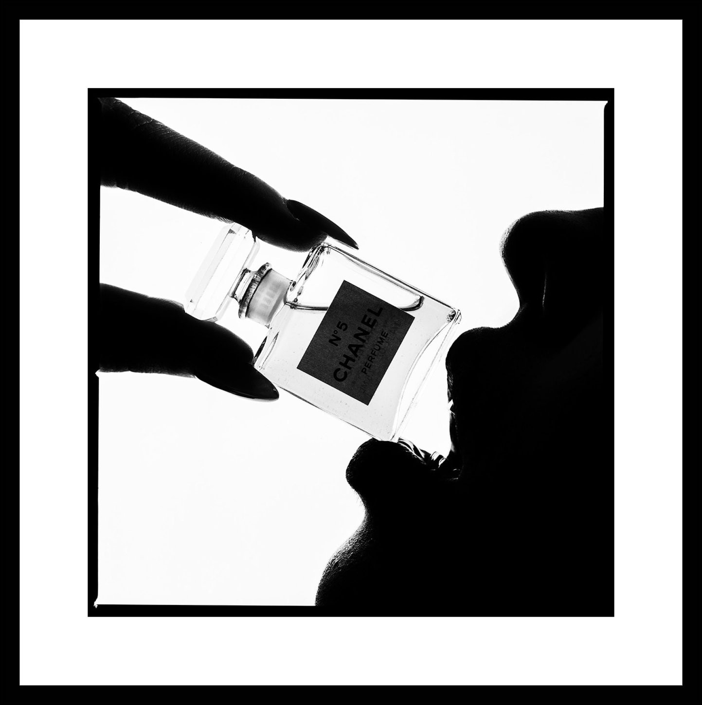 Tyler Shields, Chanel Silhouette Tyler Shields, Chanel Silhouette