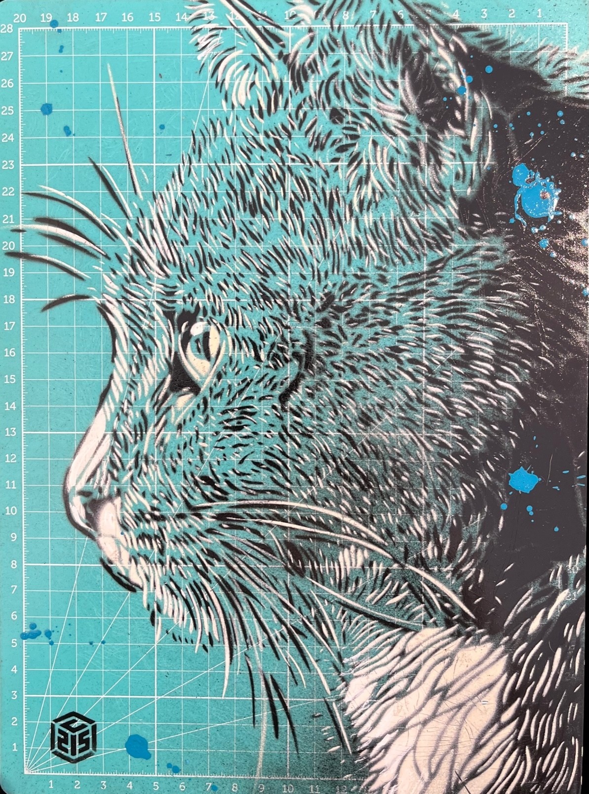 C215, Chat Felix C215, Chat Felix