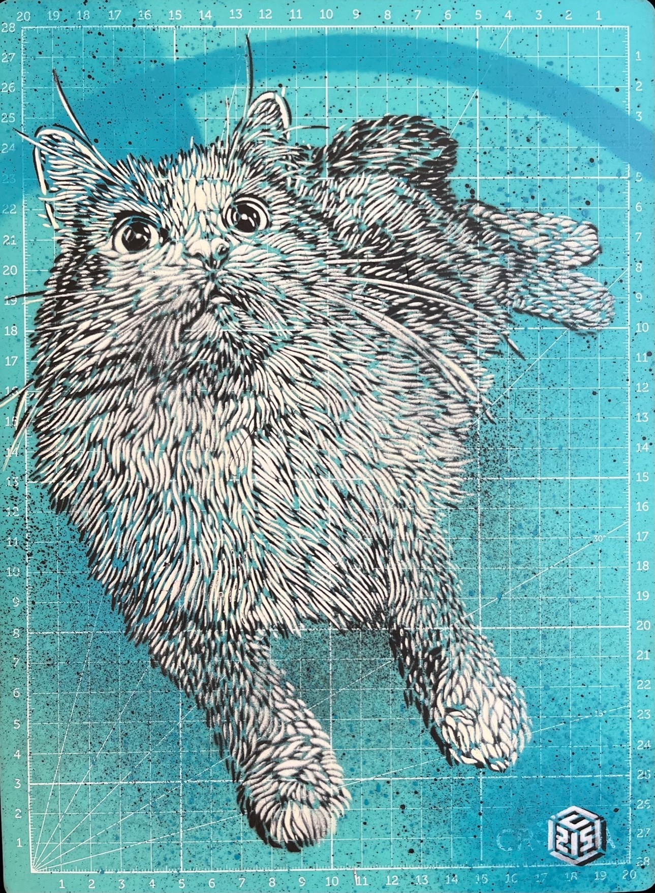 C215, Chat allongé C215, Chat allongé